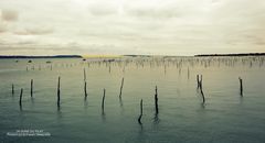 Le Cap Ferret (la dune du Pilat en fond )/ Sur le tournage de Mon GR® préféré • Saison 2