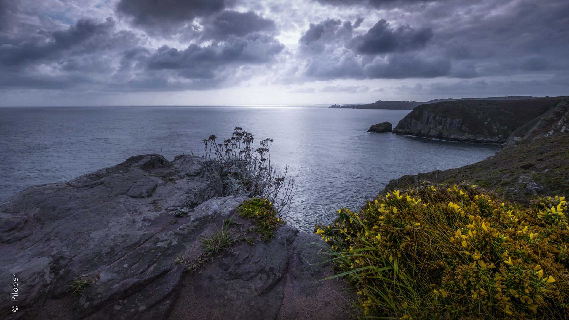 Le cap Fréhel