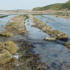 Le Cap Gris Nez - N° 3