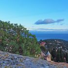 Le Cap Martin vu du Château de Roquebrune