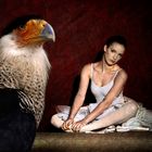 Le Caracara huppé et la danseuse