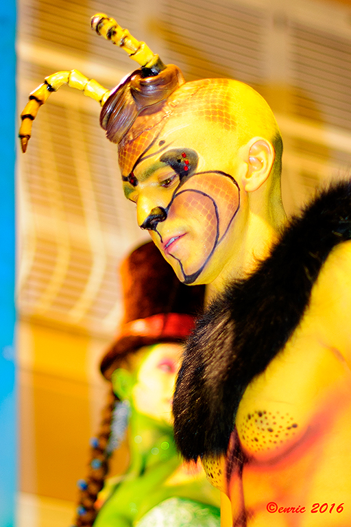 Le Carnaval a Sitges année2016