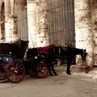 Le carrozze del colosseo