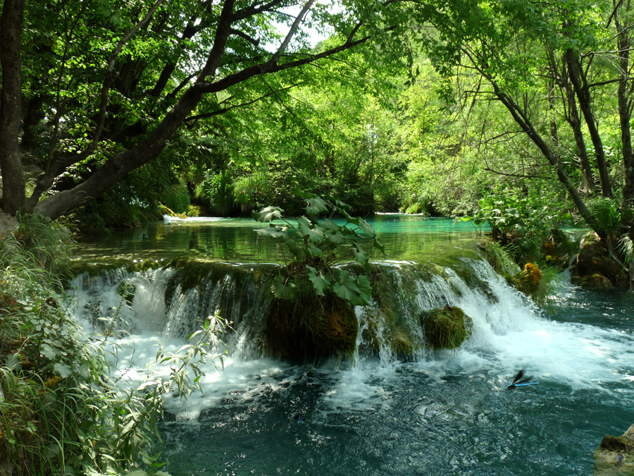 Le cascate dell'Eden