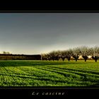 Le cascine