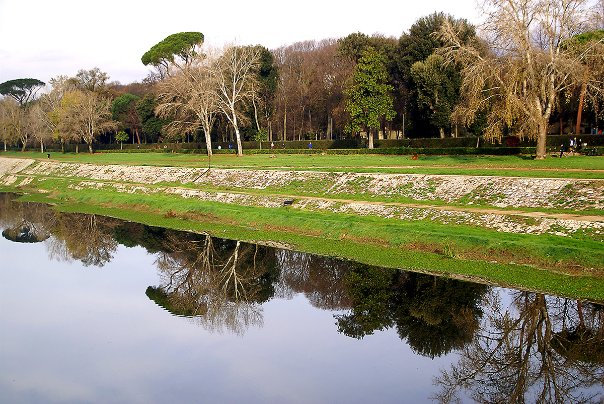 Le CASCINE riflesse in Arno