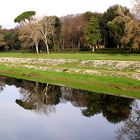 Le CASCINE riflesse in Arno