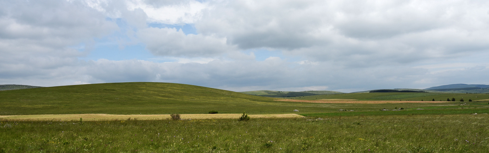 le causse