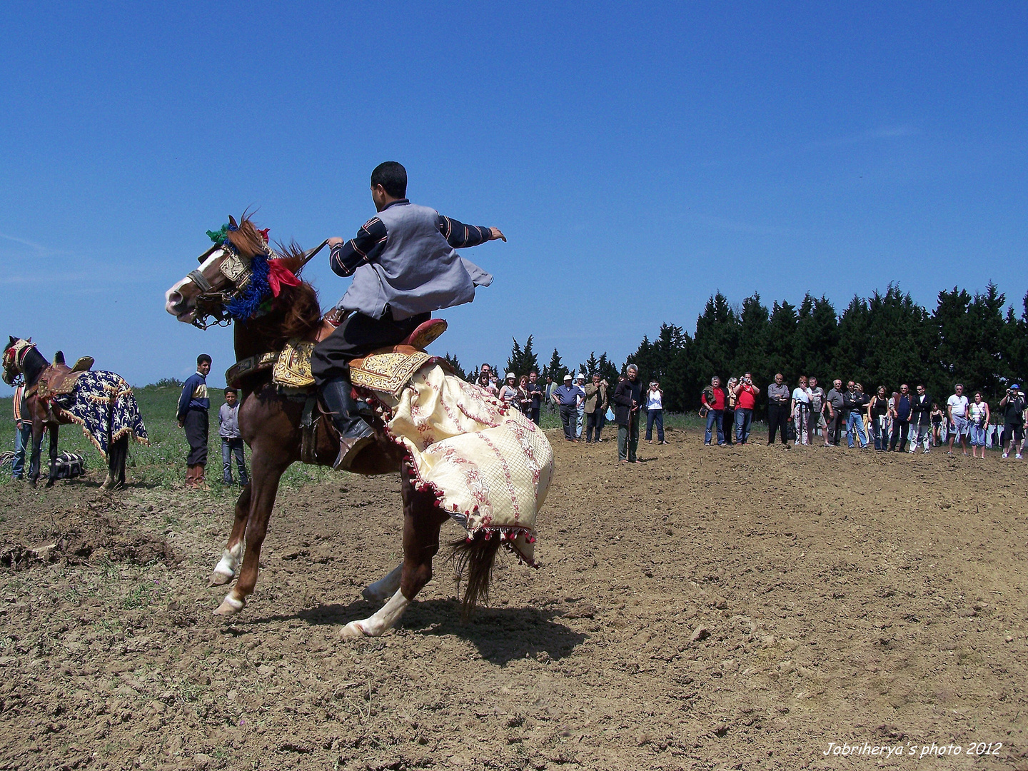 le cavalier