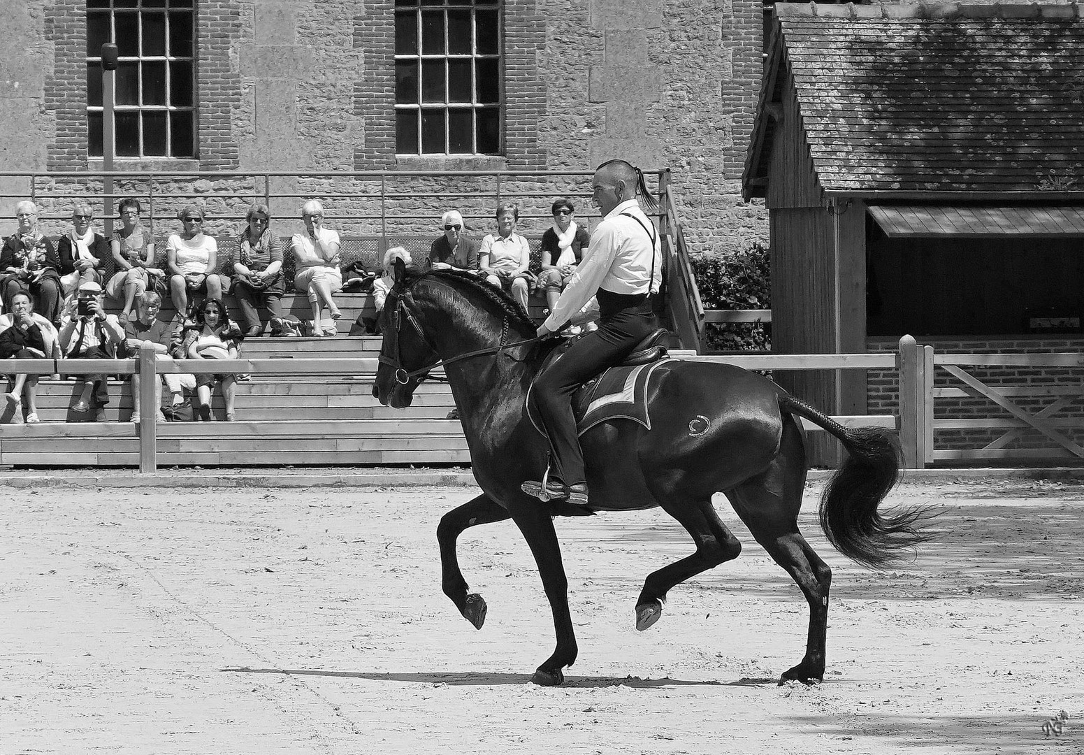 Le cavalier ......