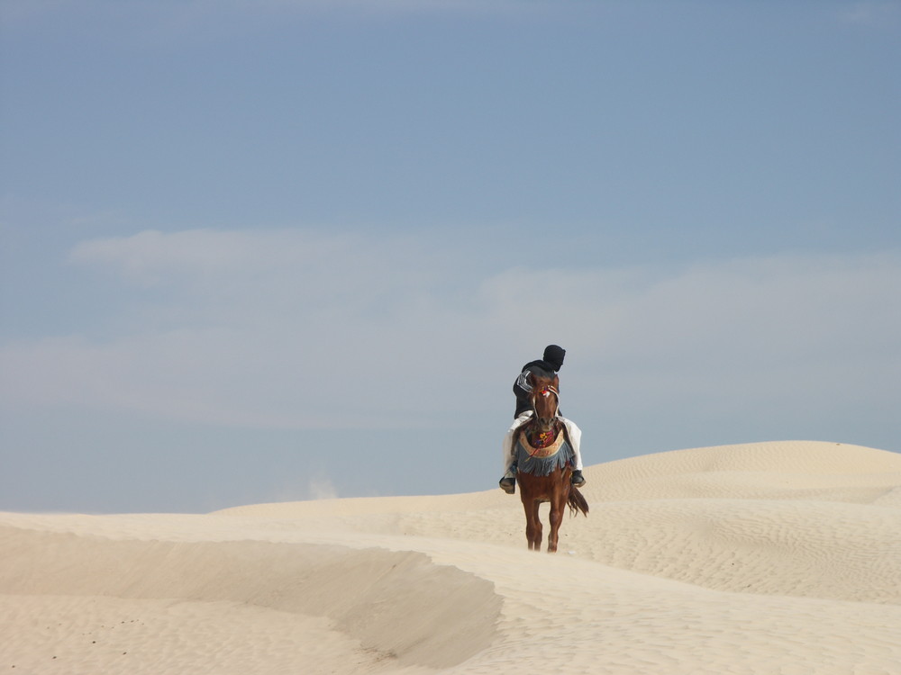 LE CAVALIER DANS LE DESERT