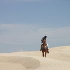 LE CAVALIER DANS LE DESERT