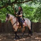 le cavalier de Rocamadour