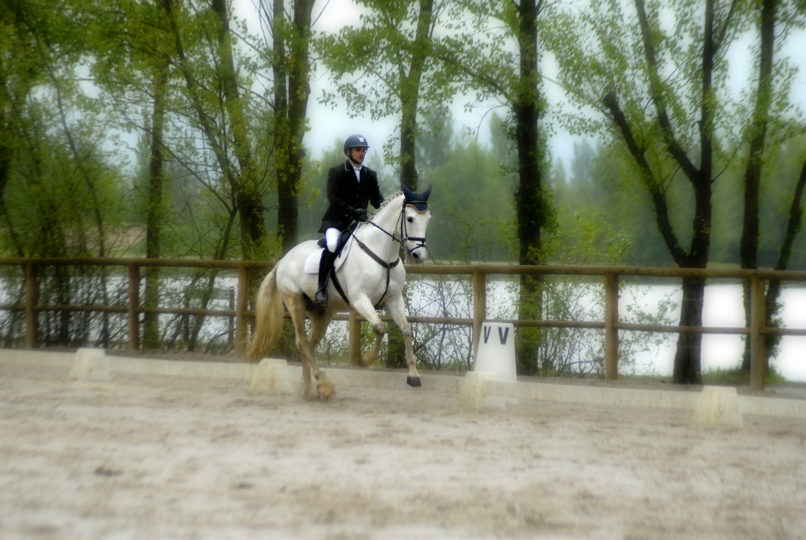 le cavalier et sa monture séance de dressage ...