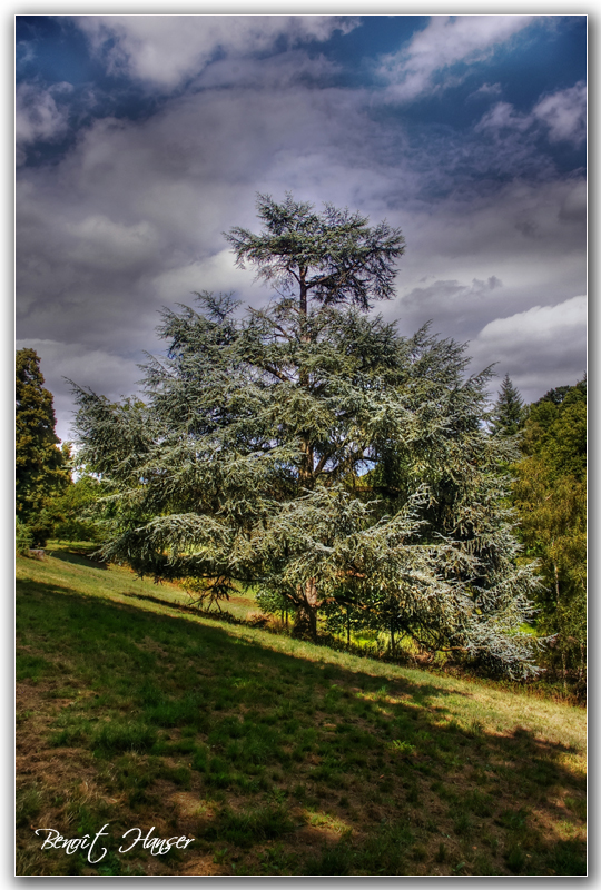 Le centenaire breton - Parc de Bonnefontaine