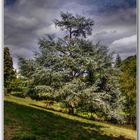 Le centenaire breton - Parc de Bonnefontaine