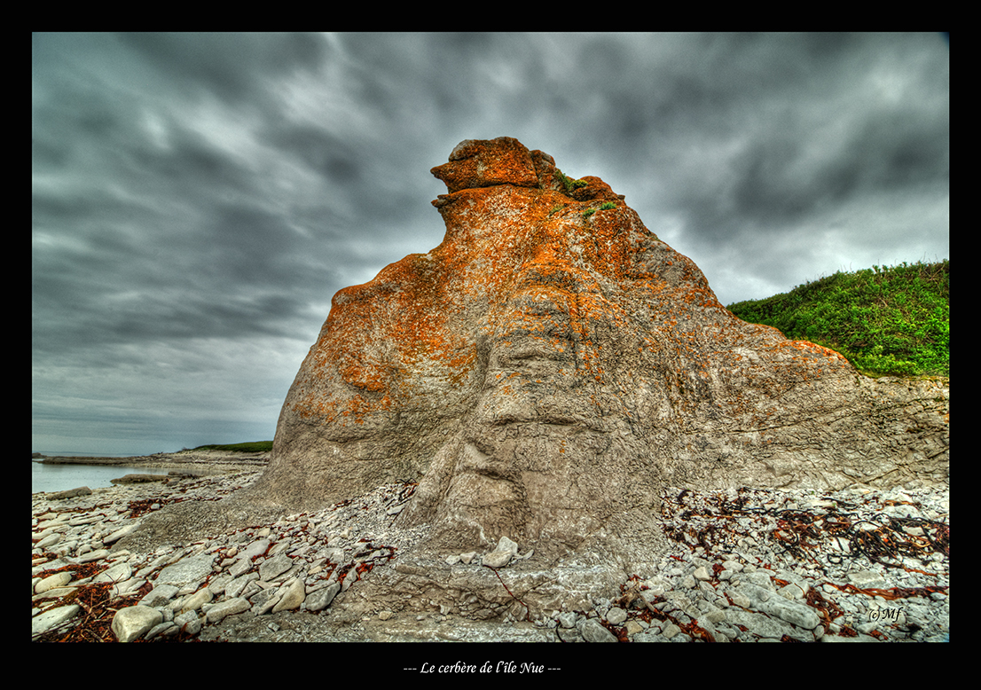 Le cerbère de l'Île Nue.