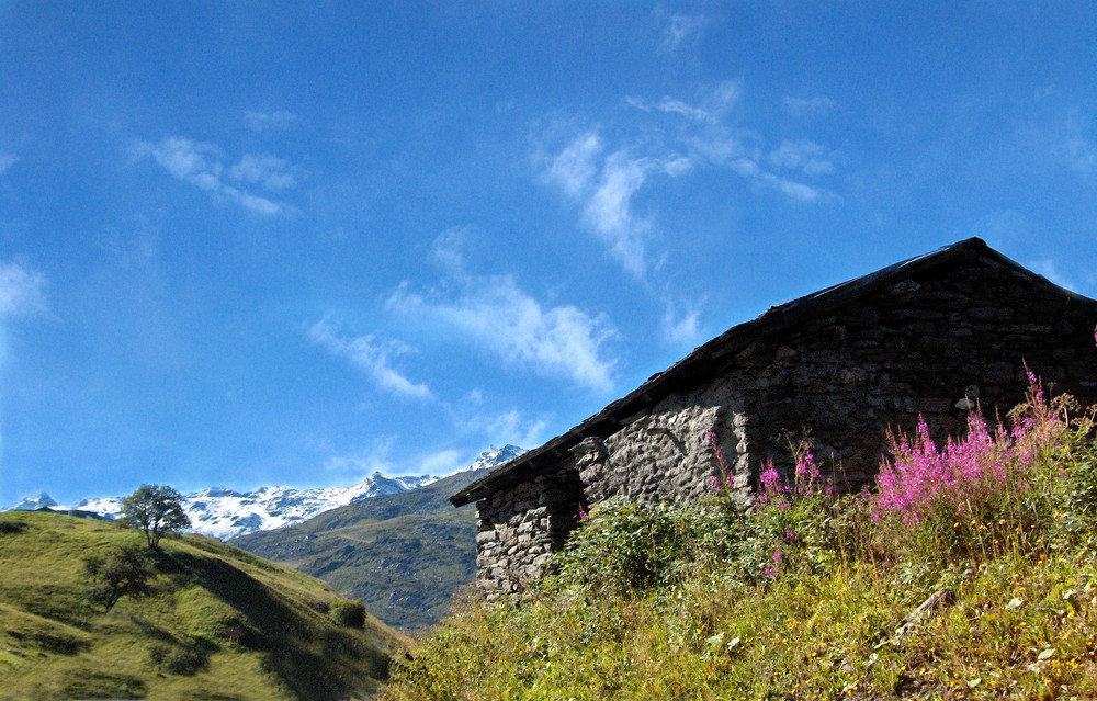 le chalet d'alpage