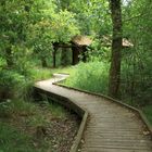 le chalet dans la nature !