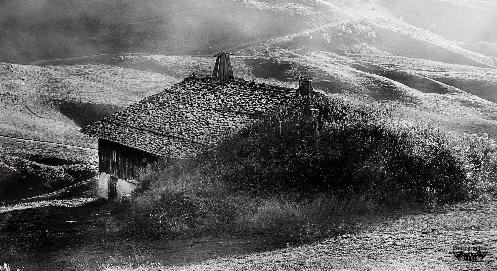 Le chalet des matins brumeux