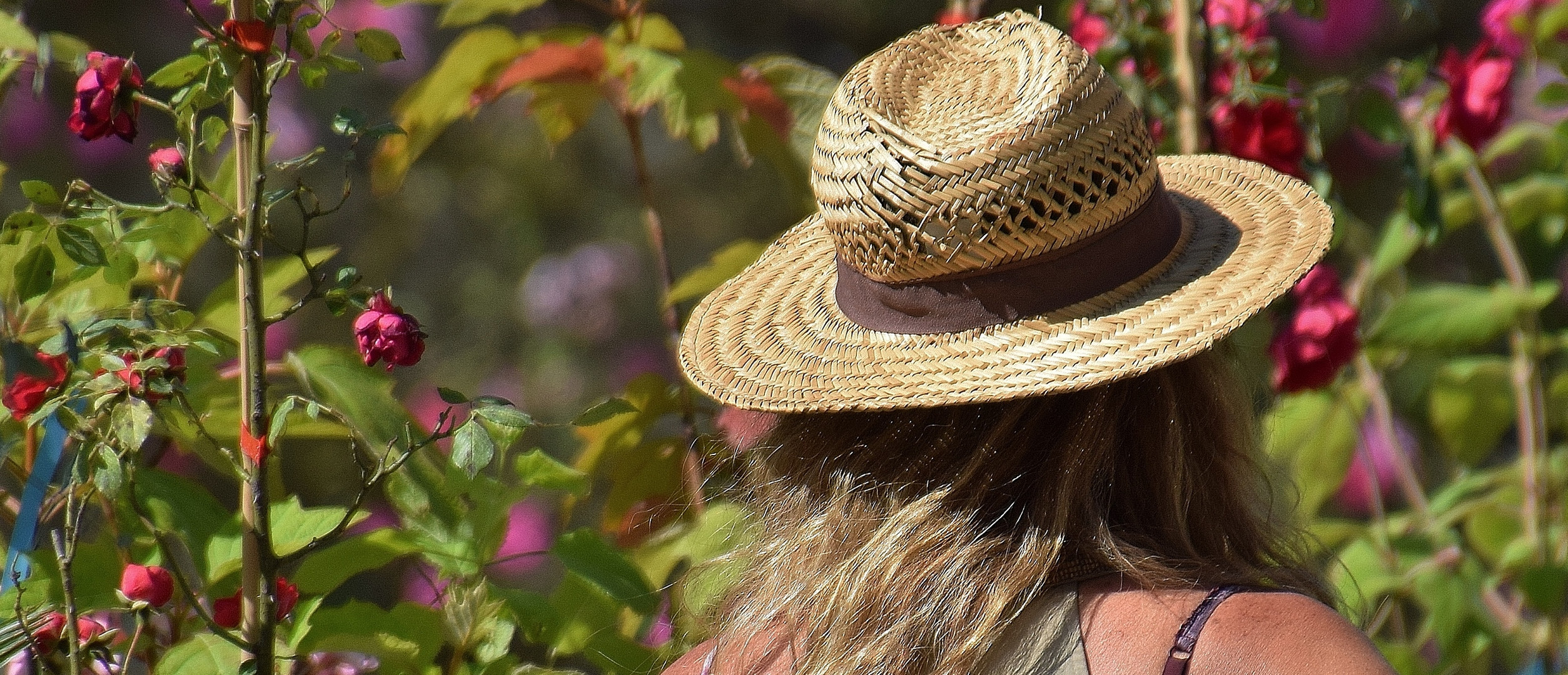 Le chapeau à fleurs....