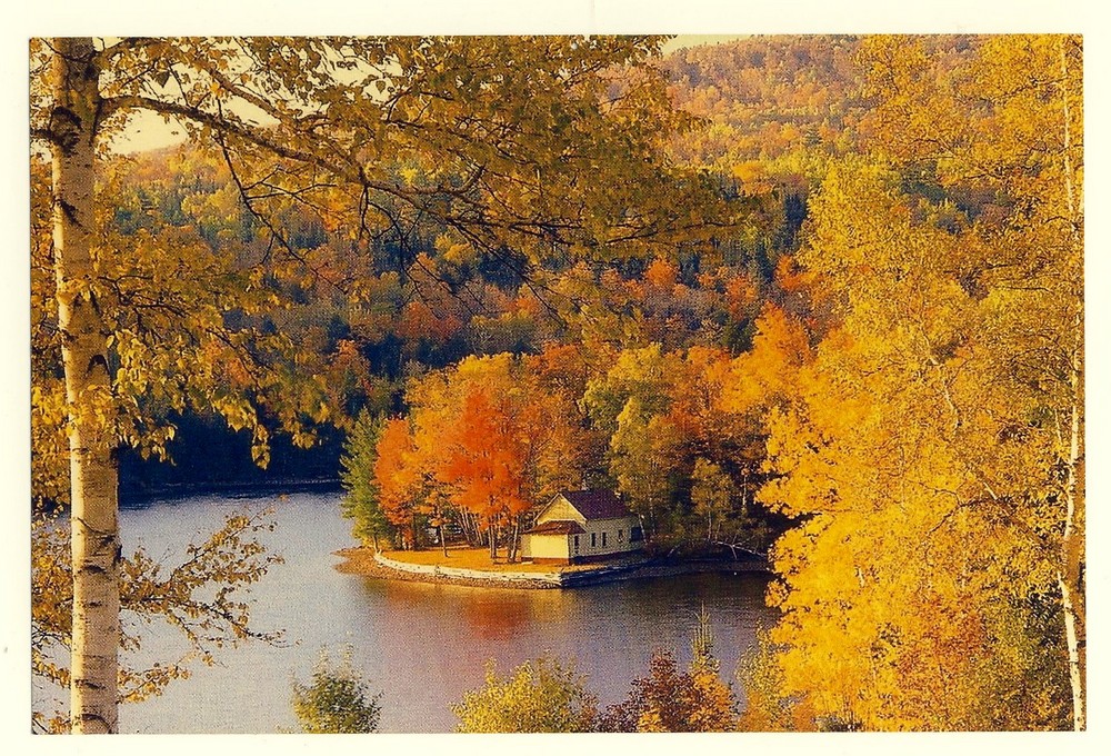 LE CHARME DE L' AUTOMNE