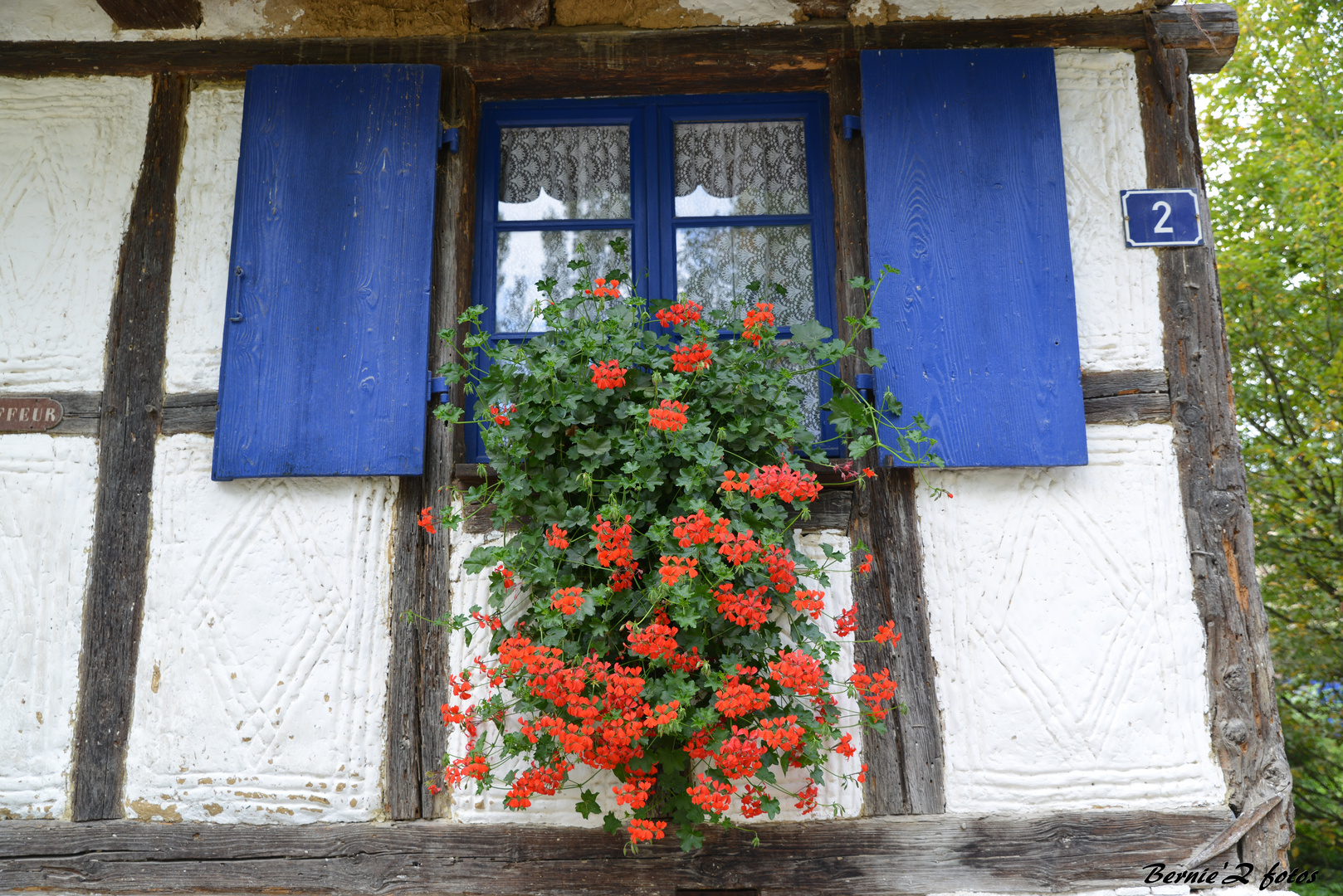 le charme de l'Alsace