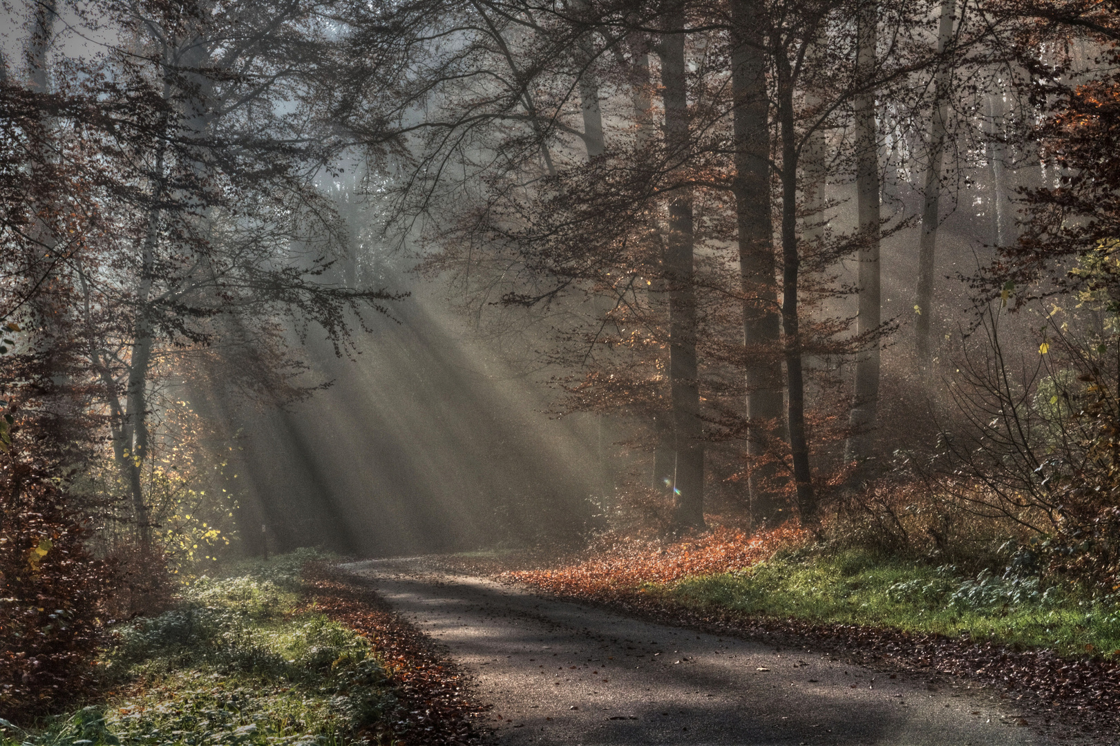 Le charme de l'automne - 3