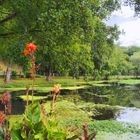Le charme de l’étang de Boisseguin