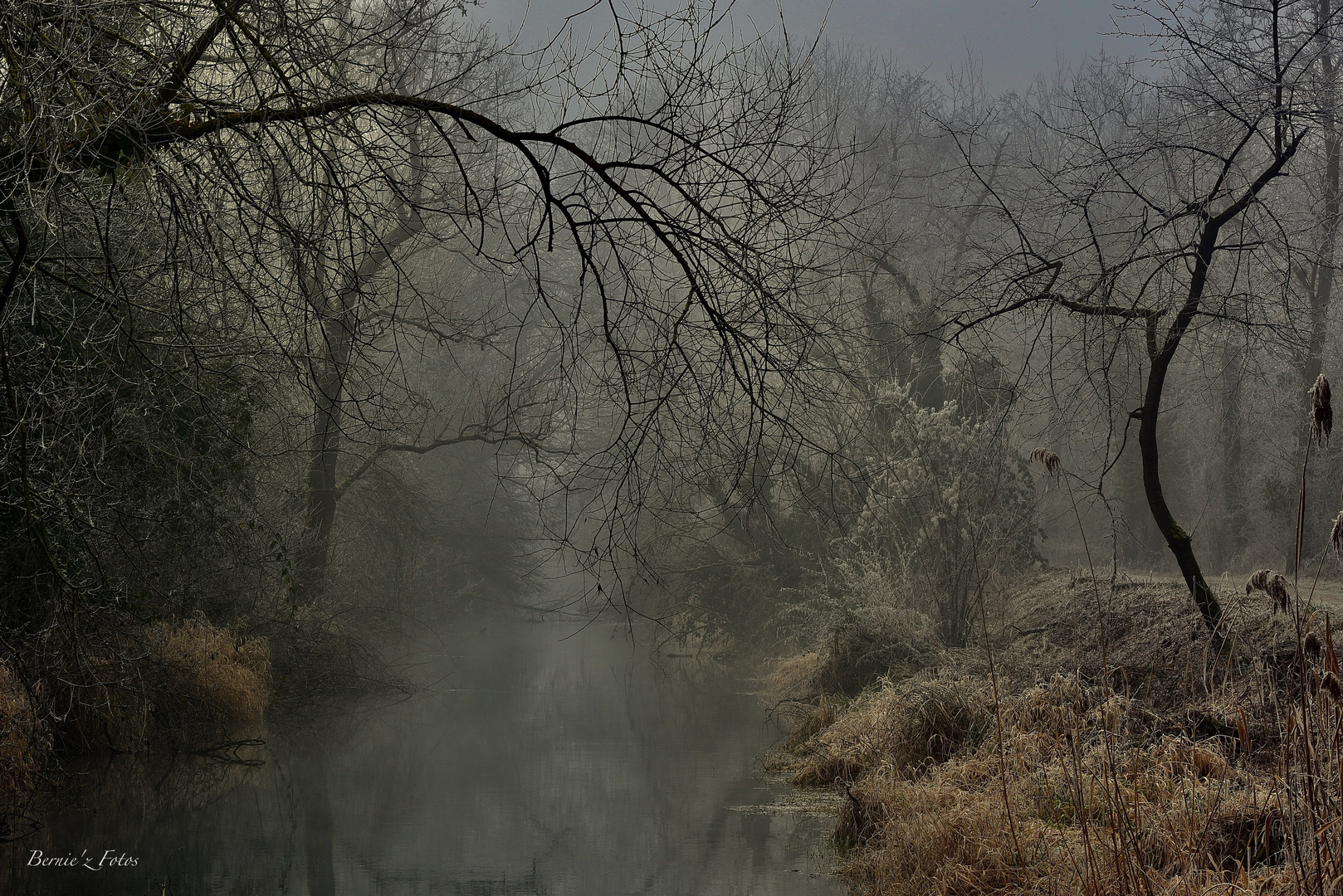 Le charme de l'hiver