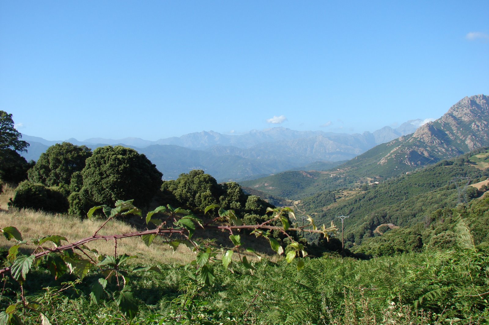 le charme du maquis corse