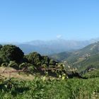 le charme du maquis corse