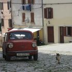 Le chat croate et la voiture