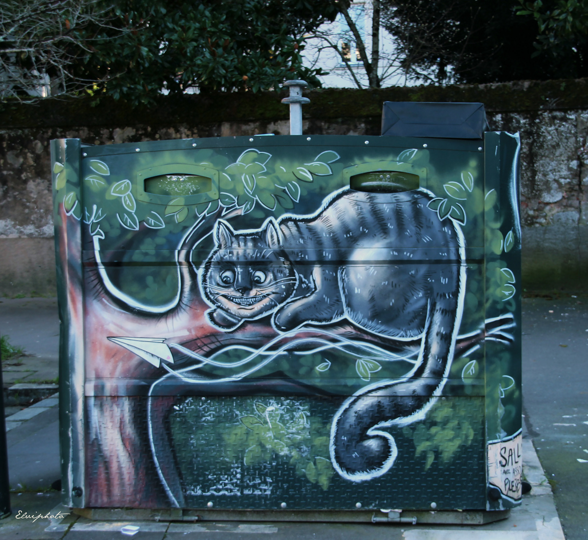 Le Chat D Alice Photo Et Image Arts De Rue Animations Photographiques Un Jour Une Couleur Images Fotocommunity Le Chat D Alice Photo Et Image Arts De Rue Animations Photographiques Un Jour Une Couleur Images Fotocommunity