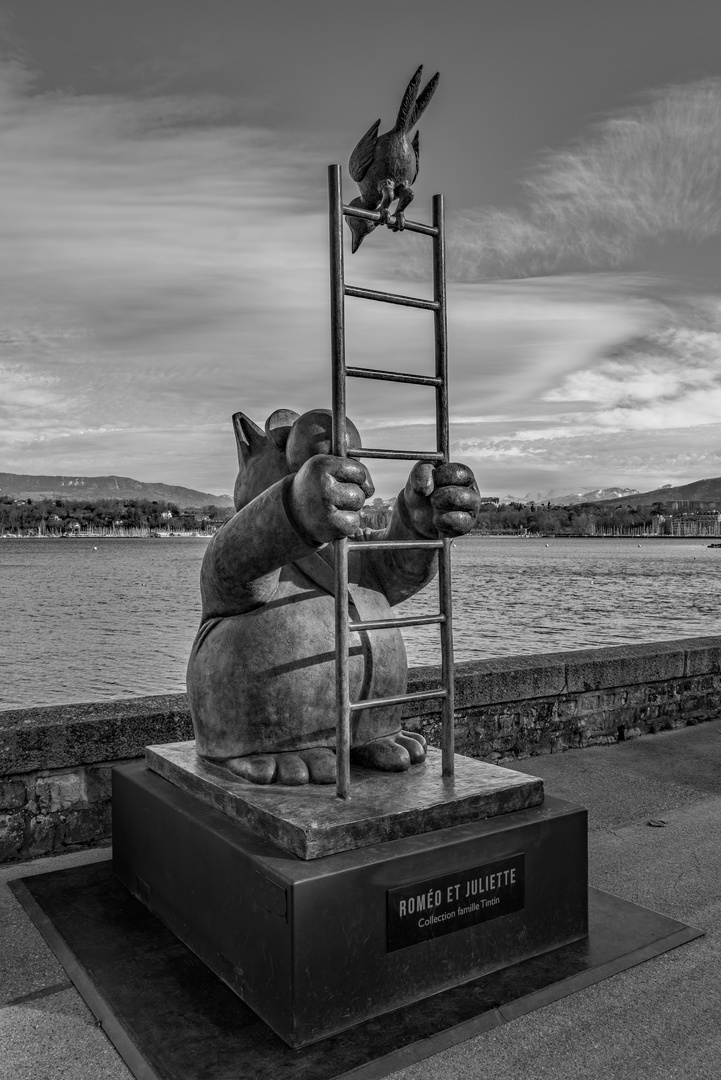 Le Chat de Guluck à Genève - 3