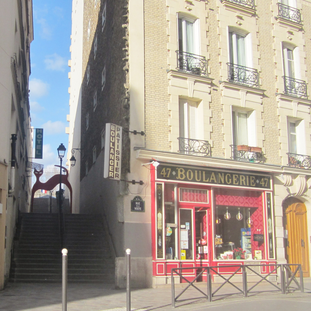 Le chat du passage de la voute Paris XII arr