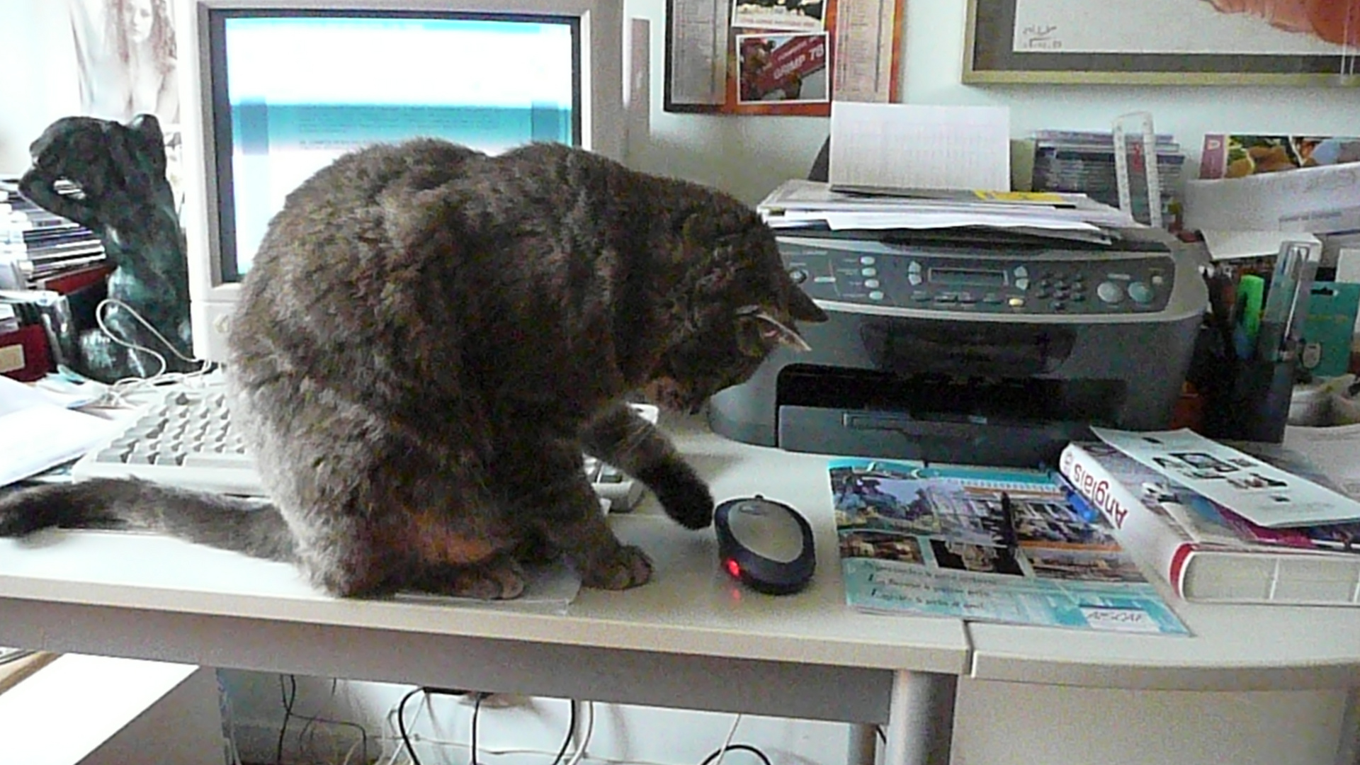 Le Chat Et La Souris Photo Et Image Photos Marrantes Humour Chat Special Images Fotocommunity Le Chat Et La Souris Photo Et Image Photos Marrantes Humour Chat Special Images Fotocommunity