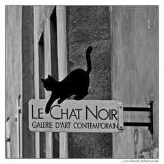 Le Chat noir...