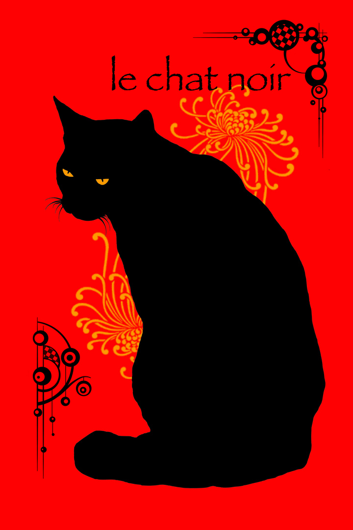 le chat noir