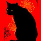 le chat noir