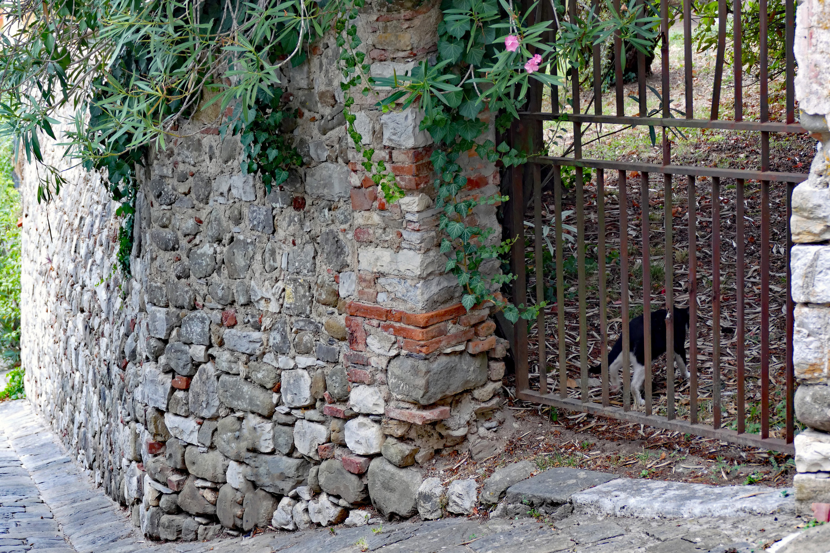 "le chat qui s en va tout seul".. d après r. kipling