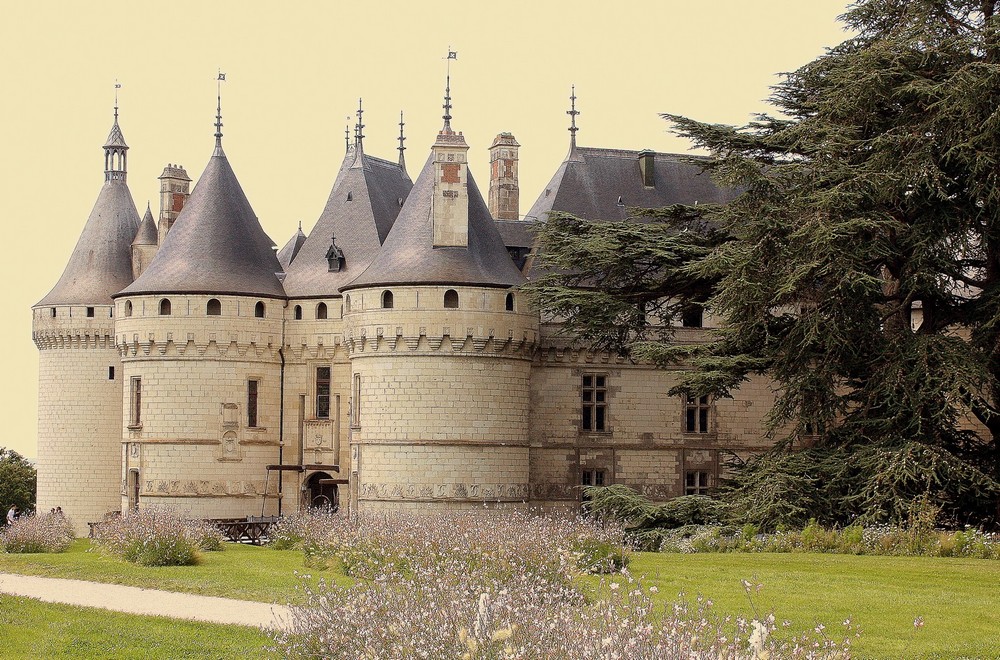 LE CHATEAU DE CHAUMONT SUR LOIRE (41)