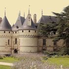 LE CHATEAU DE CHAUMONT SUR LOIRE (41)