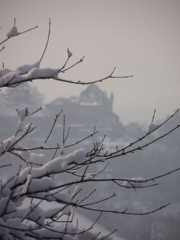 LE CHATEAU DE FRONTENAY AU LOIN DANS LA BRUME