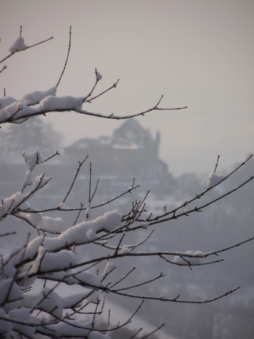 LE CHATEAU DE FRONTENAY AU LOIN DANS LA BRUME