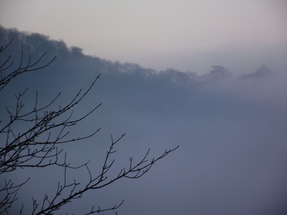 LE CHATEAU DE FRONTENAY DANS LA BRUME