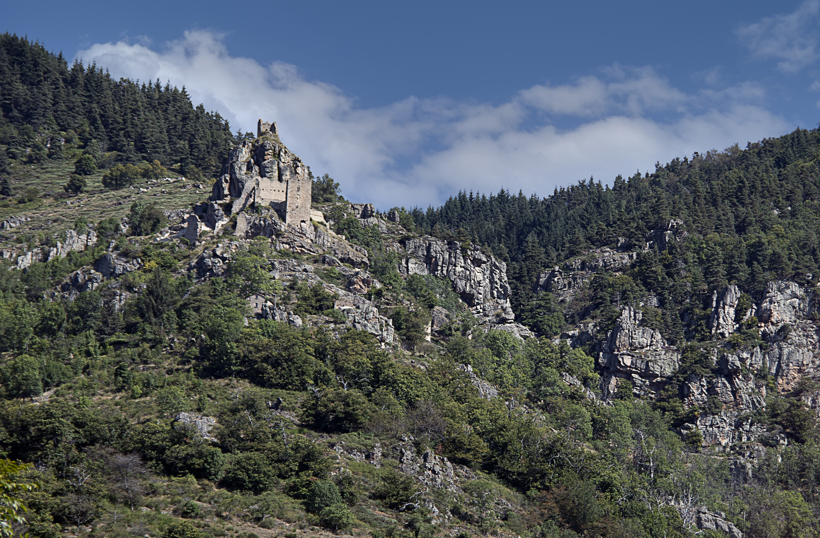 Le chateau de Rochebonne 