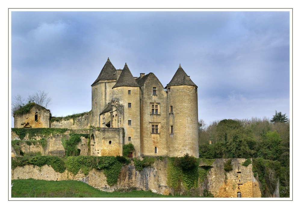 Le chateau de Salvignac