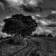 Serie  Way's & Paths