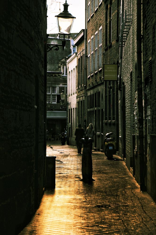 Le chemin (17) .....la voie dorée!